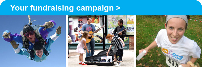 Your fundraising campaign