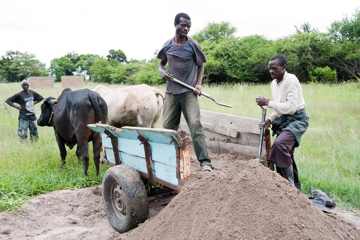 The community continue to collect sand so more bricks can be made. It’s extremely hard work.